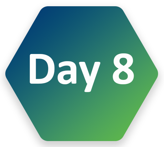 DAY8