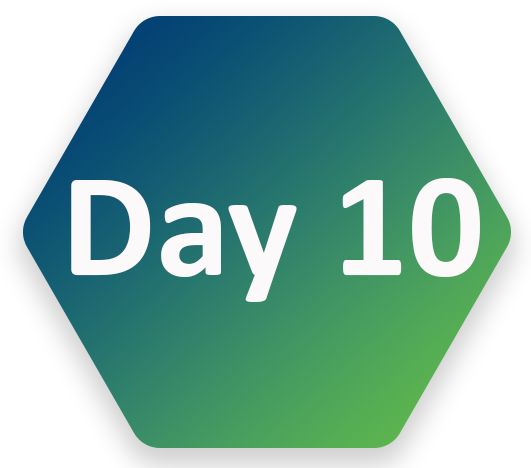 Day 10 hexs