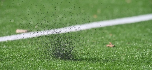 Microplastics