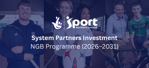 System Partners Investment NGB Programme (2026–2031) (1)