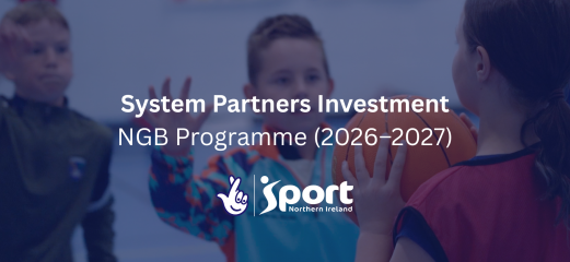 System Partners Investment NGB Programme (2026–2031) (2)